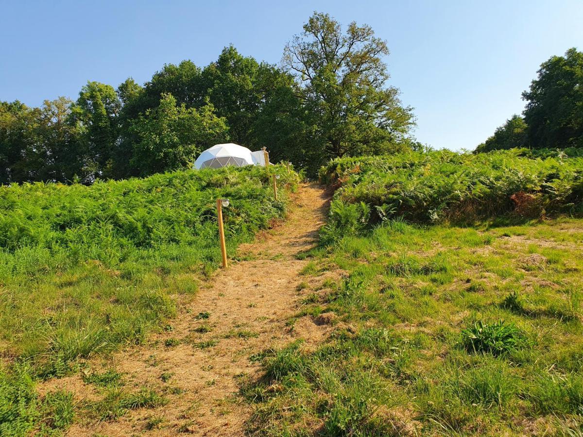 Moulin Du Pommier Glamping & Saulgond